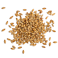 https://cdn.eguia.beer/wp-content/uploads/2017/05/ingredients_transparent_03.png